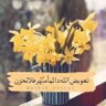 الصيادي الرفاعي profil fotoğrafı