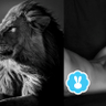 Leãozinho 🦁 的头像