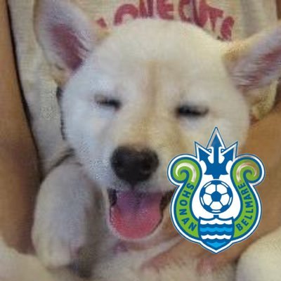 湘南魂's profile picture