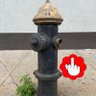angry_old_it_person 的头像