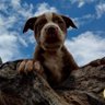 Ziggy profil fotoğrafı
