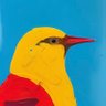 𝖬𝖮𝖢𝖪𝖨𝖭𓅮's profile picture