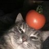4thaluvofyou's profile picture