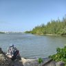 giangargolea 的头像