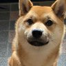 Profilbild von みぞ