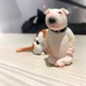 夜行貓頭鷹 profil fotoğrafı