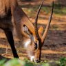 deltalpha profil fotoğrafı