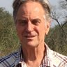 Roy Plath's profile picture