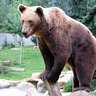 kj profil fotoğrafı