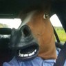 Colin Grieves's profile picture