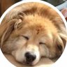 Profilbild von 水戸市の旅人
