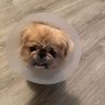 TalSha profil fotoğrafı