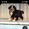 あきなす profil fotoğrafı