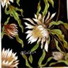 Фото профиля Lala Dee 台北的天空💫⭐️🌼🌱✨🌟🌼🌱✨⭐️🌼🌱✨