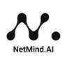 Profilbild von NetMind.AI