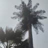 青山绿水 的头像
