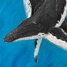 Profilbild von Keanu WHALord 🐳
