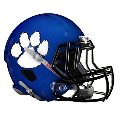 BHSBlueTrain's profile picture