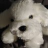 略略略's profile picture