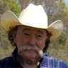 Profilbild von Don Pyle