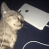 joc profil fotoğrafı