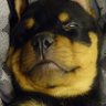 Profilbild von Lenin