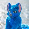 Profilbild von Flexible Blue Dog