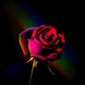 Фото профиля 🌹 Josh 🌹