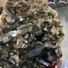 Фото профиля スコーン
