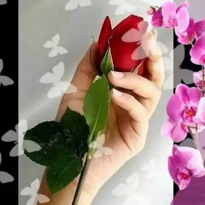 EAlnusri21521's profile picture