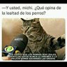 mister's profile picture