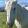 Matthew Sandblom's profile picture
