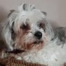 Daisys mom 的头像