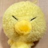 Profilbild von おひな