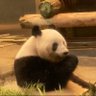 もも 的头像