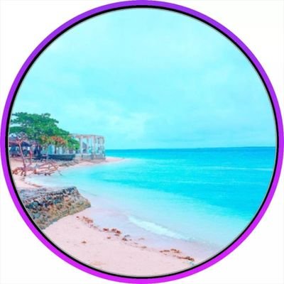 Momosanctuary's profile picture