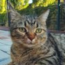 BuraK profil fotoğrafı