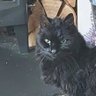 Kevin71 profil fotoğrafı