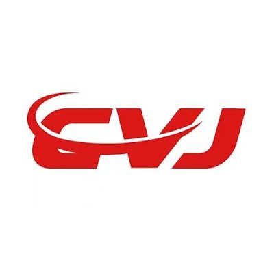 CVJ_JP's profile picture