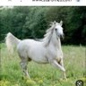 Фото профиля خيال الحجاز