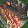 Profilbild von Jabberwocky