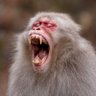David's profile picture
