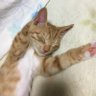 Фото профиля なつぞら