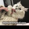 Фото профиля НЁХа, расчётная P (вых.) = 108 kMeow / hPa