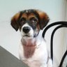 Jacknaka Somjai profil fotoğrafı