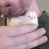 Silly little guy's profile picture