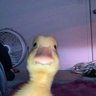 ٍِSAUD ..'s profile picture