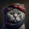 Moshtoy profil fotoğrafı
