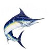 BlueMarlin24 的头像