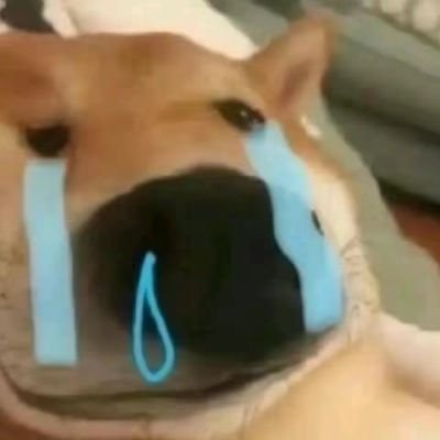 digull14's profile picture